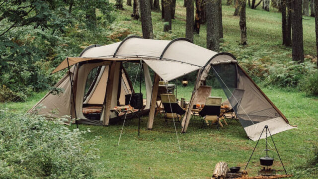 竹ペグペグ　スノーペグ　サンドペグ　8本　テント　タープ　登山